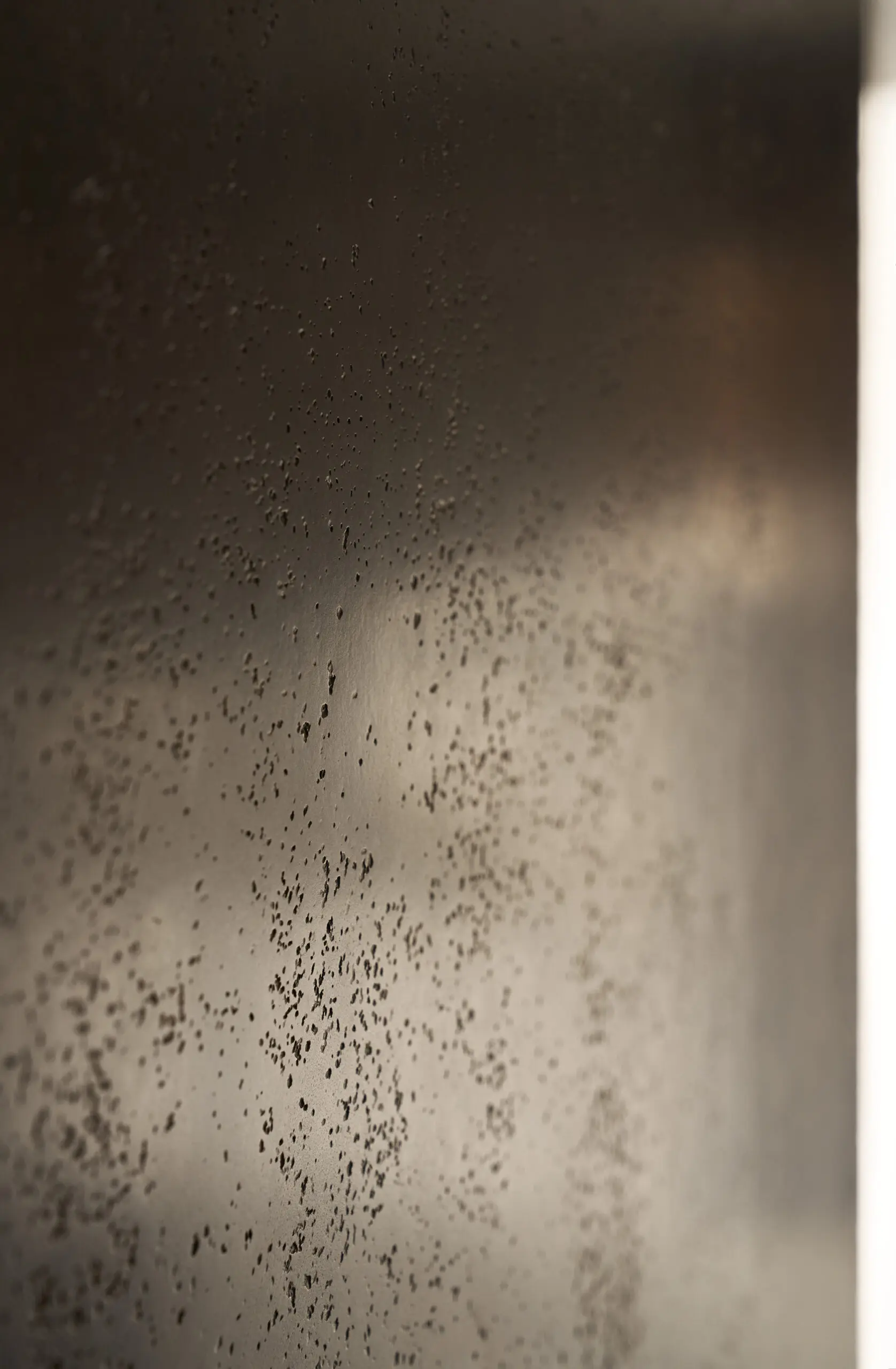 Close-up of the liquid metal fascia. Close-up of a textured metallic surface with small, dark speckles creating a grainy pattern. The lighting is soft, adding a warm, subtle glow.